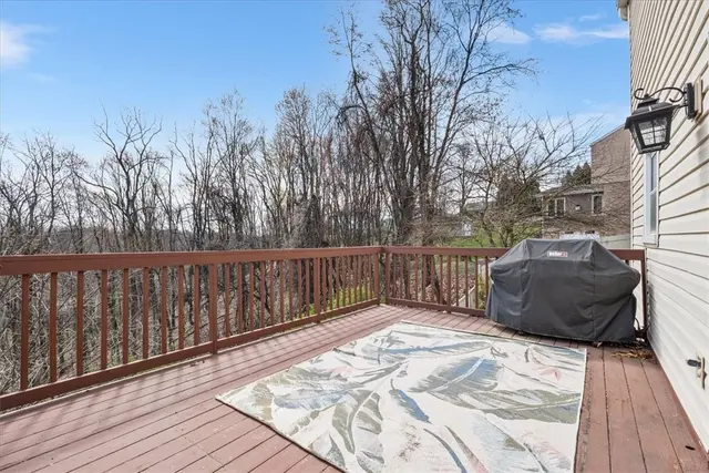 960 Broad Meadow Dr gallery image 22